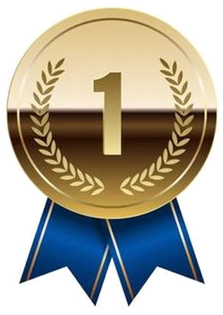 Medalha de ouro — 1º lugar
