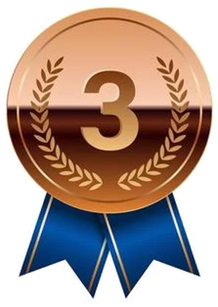 Medalha de bronze — 3º lugar